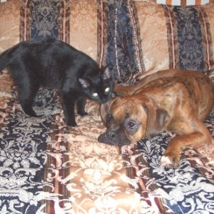 Kitty Biting!