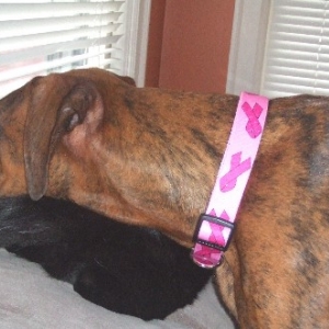 Breast Cancer Collar