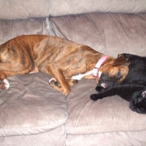 Kaybie & Onyx snuggling
