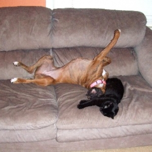 So comfy!