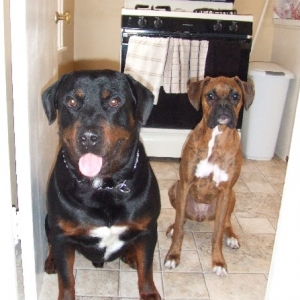 Kaybie and Rex