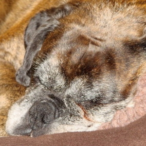 Having big Zzzzzzzzzzzzzzzzzzzzzz