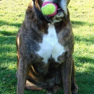 Anyone for tennis?