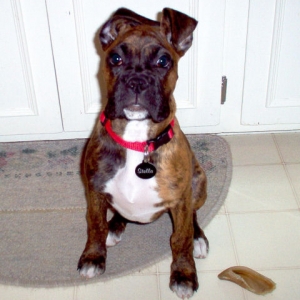 Stella at 3 months