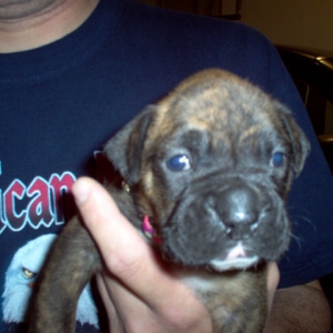 The day we picked Stella