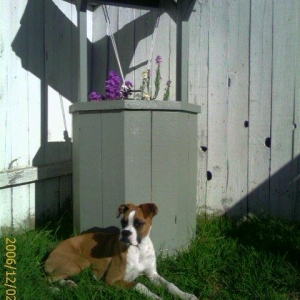 Kimber Water Fountain