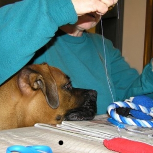 toys being repaired