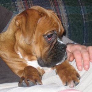 sitting with dad