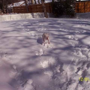 Chloe love's the snow!!