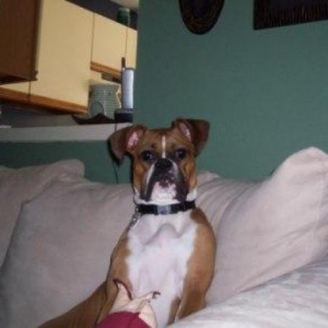 Tough Girl!