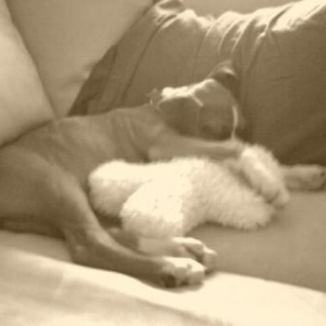 Paris cuddling with her toy!