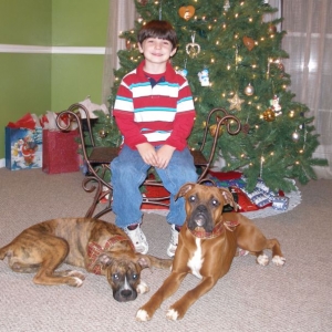 The kids in front of the tree :)