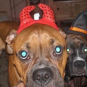 Little Devil and Witch