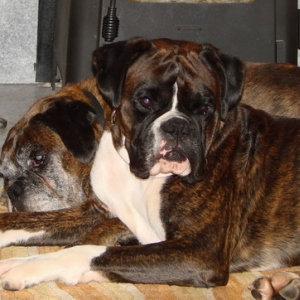 Cuddled in Together