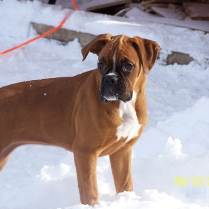 belle 5 mth