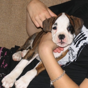 Winnie - 8 weeks
