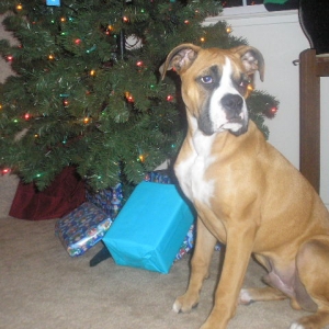 Revan 12/07/2006