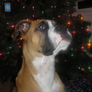 Revan 12/07/2006