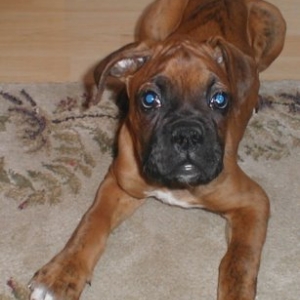My Boy!