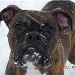 First Taste of Snow