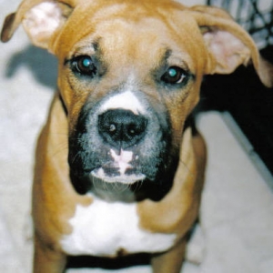 bella_6_months