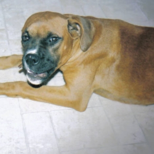 duke_6_months