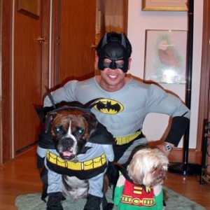 would the real batman please stand up