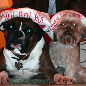 could they look any happier?