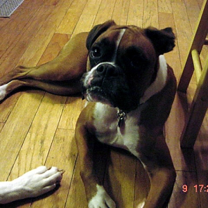 Here she is....Lila