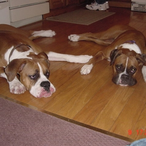 Lila and Scooter