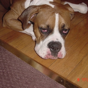 Plain wore out