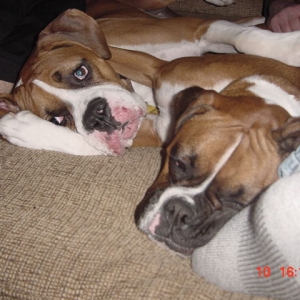 Scooter and Lila