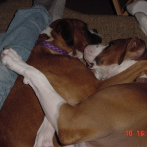 Sleepyheads