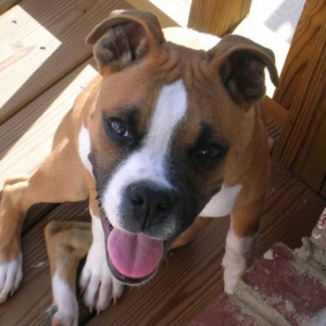 Big Scooter at 6 months