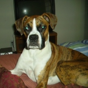 Pretty girl!