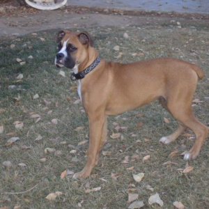 12/9/2006