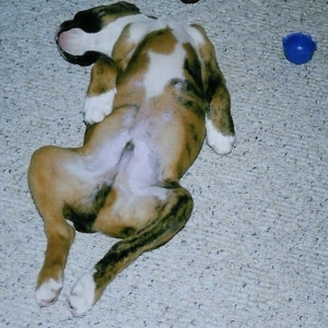 Hard day