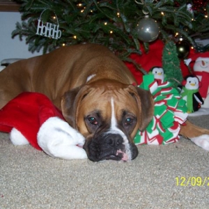 Im getting tired mom :(