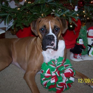 Payton_Xmas_06_001
