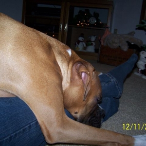 See how I fit on moms lap :)