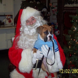 Bailey and Santa