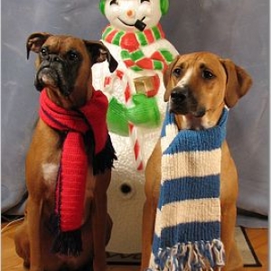 Merry Christmas!
