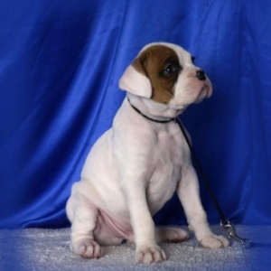 Terramoto at 5 weeks