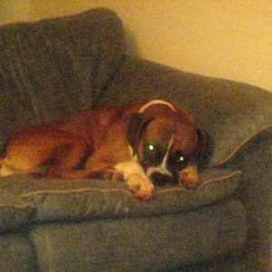 Noel on couch