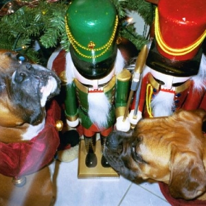 My Little Nutcrackers