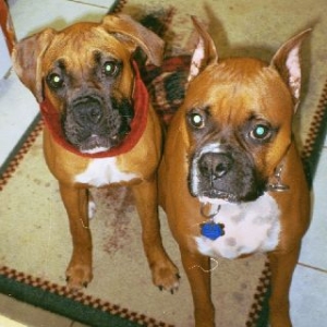 Cisco and Leila