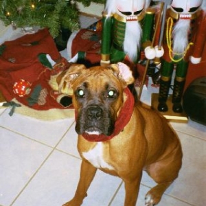 Leila's 1st Christmas