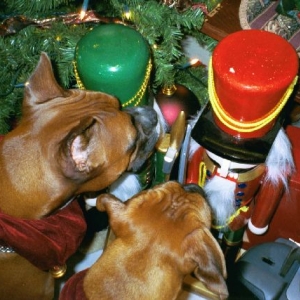 It's a Nutcracker