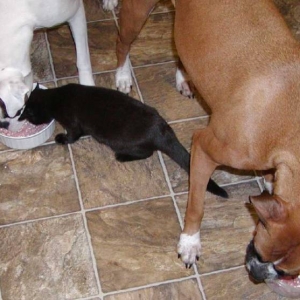 Sharing