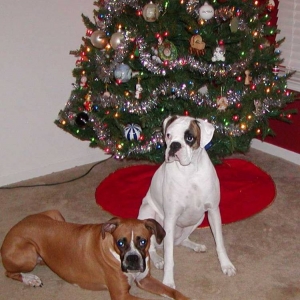 Roxy & Payton